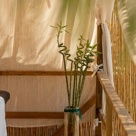 Mazarine Hotel, Vlore, Albania 4* Radhimë