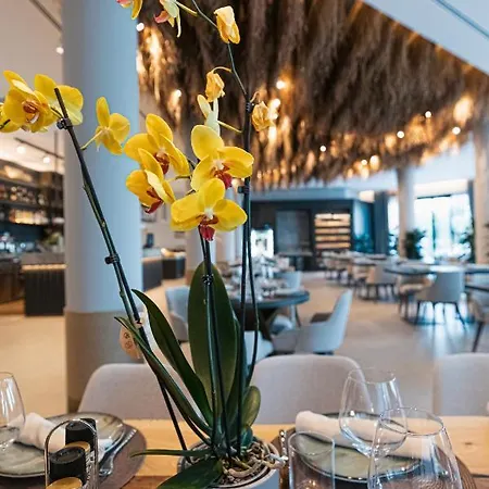 Hotel Mazarine Hotel, Vlore, Albania Radhime